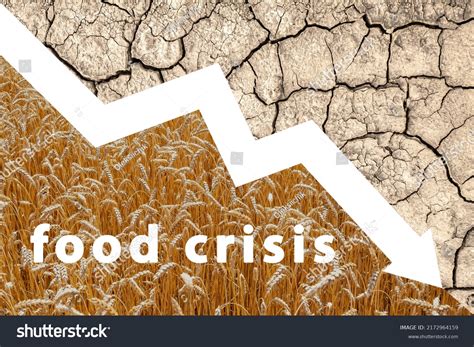 Food Crisis World Problems Supply Wheat Stock Photo