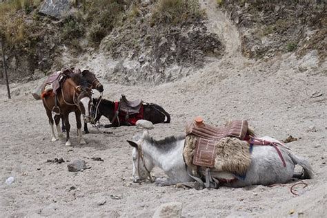 Quilotoa Crater Lake Lodge Prices And Reviews Quito Ecuador