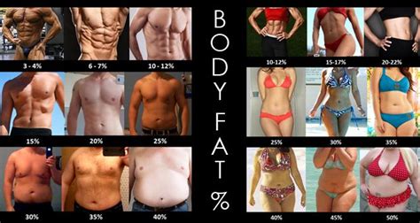 Body Fat Percentage Examples Comparison Weight Loss Goals Healthy Weight Loss Healthy Body