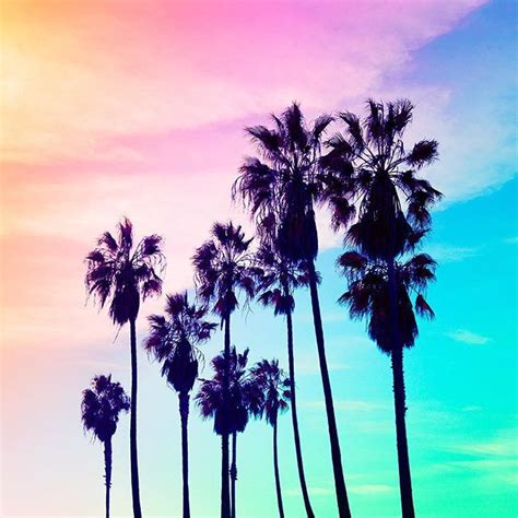 Matt Crump On Instagram Neon Sunset Palm Trees Wallpaper Apple