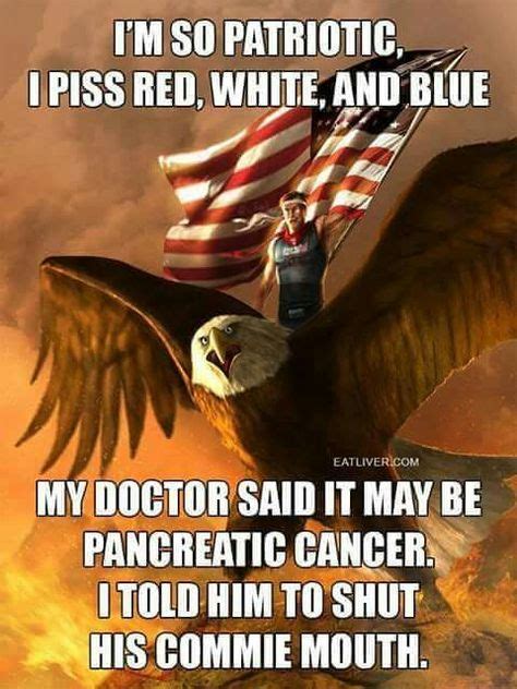 10 Best Patriotic Memes Images Memes Funny Pictures American Pride