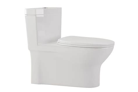 Niagara Conservation N7711 One Piece Elongated Toilet 3d Model Cgtrader