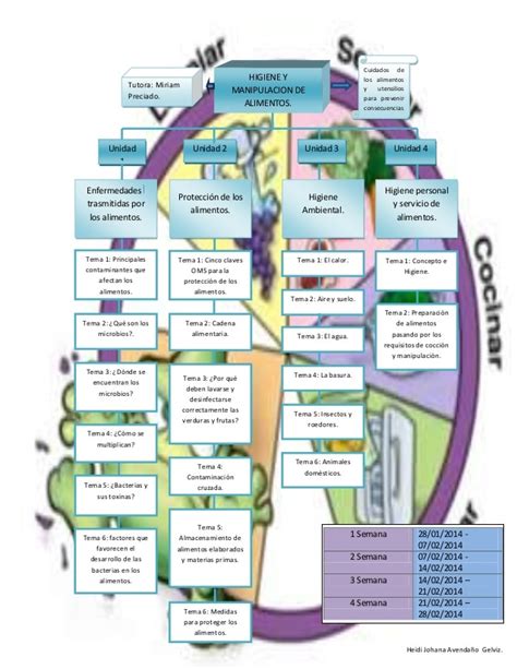 43 Clasificación De Los Alimentos Mapa Conceptual Tips Campor