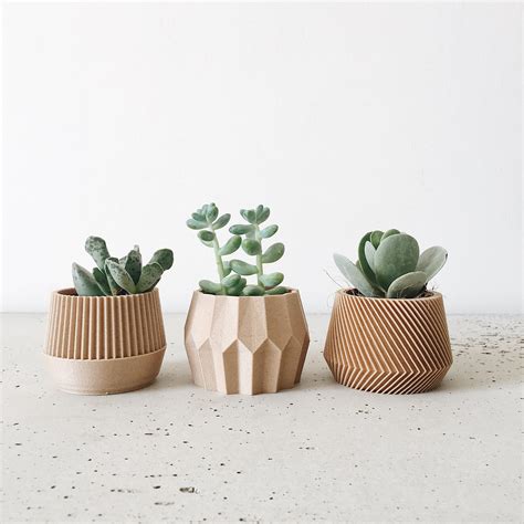 Set Of 3 Small Succulent Plant Pots Original Planter T Etsy