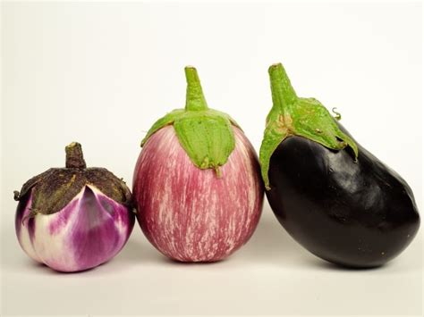 18 Types Of Eggplant Complete List And Guide Northern Nester