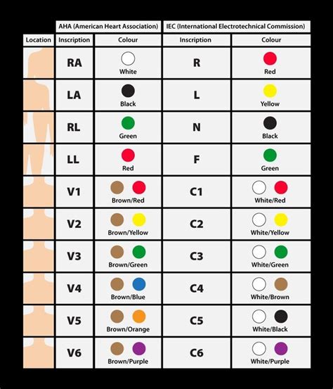 Ecg Color Coding Standards For 12 Lead Ecg Aha And Iec Color Coding