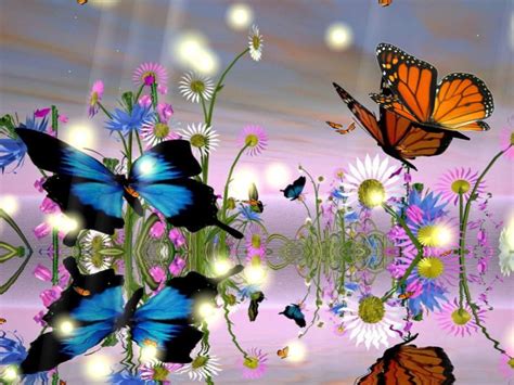 Butterfly Desktop Wallpaper Tags Animated Butterflies