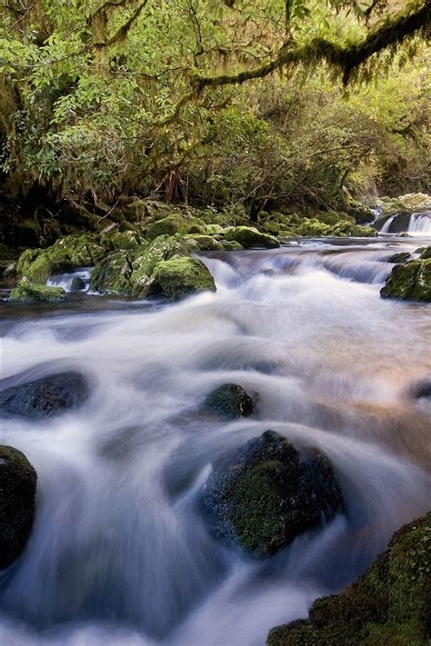 Fonds Décran Ruisseau Rochers Mousse 2560x1600 Hd Image