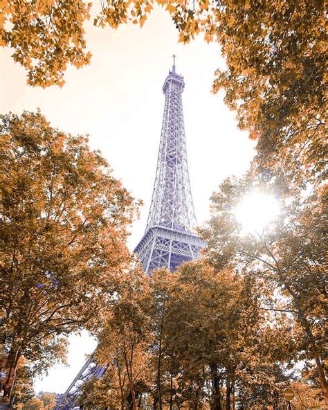 Your Ultimate Guide To Paris In Autumn Fall Things To Do Solosophie