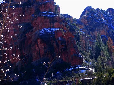 Take A Sedona Fall Journey And Enjoy The Colors And Weather Sedona Org