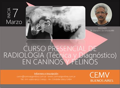 Curso Presencial De Radiología En Caninos Y Felinos Cemv Argentina