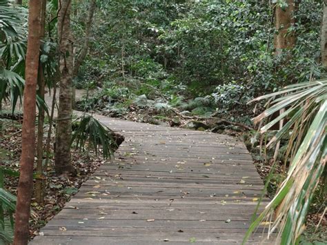 Minnamurra Rainforest Centre New South Wales