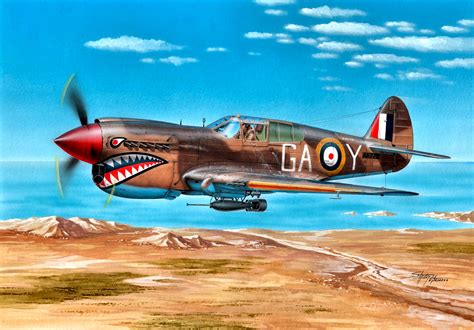 Wallpaper World War Ii Aircraft Airplane Curtiss P 40 Warhawk War