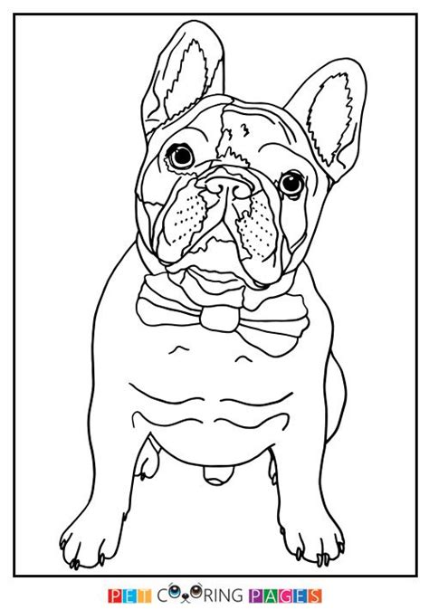 See actions taken by the people who manage and post content. French Bulldog Coloring Page | Quilts | French bulldog ...