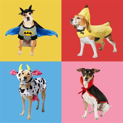 40 Best Dog Halloween Costumes Dog Halloween Costume Ideas 2022