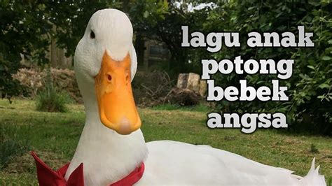 Potong Bebek Angsa Lagu Anak Indonesia Lagu Anak Populer Youtube