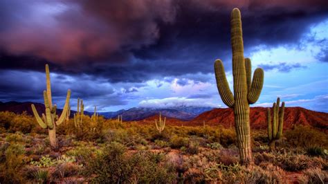 Arizona Landscape Desktop Wallpapers Top Free Arizona Landscape