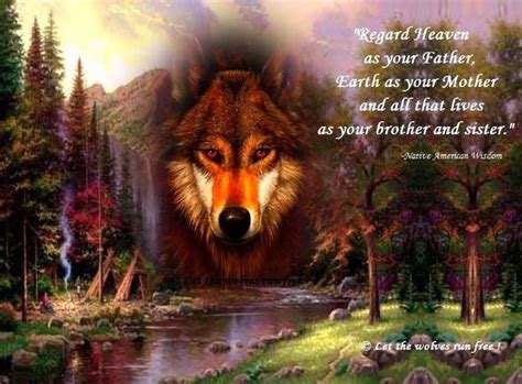Pin By Gwen Gwendell Parsons On Wolves Animal Spirit Guides Spirit