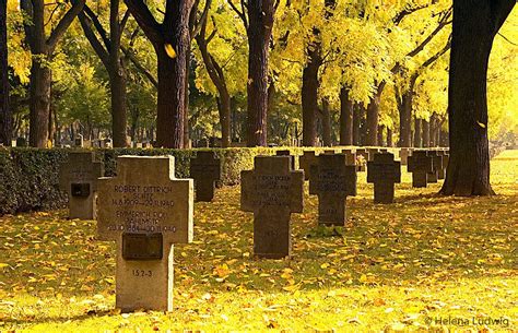 The Zentralfriedhof Vienna Is One Of The Largest Cemeteries In The