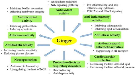 An Overview Of The Bioactivities Of Ginger Ppm McIsaac Health Systems Inc