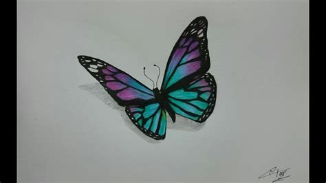 How To Draw A Realistic Butterfly With Colored Pencils Youtube