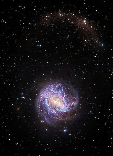 Southern Pinwheel Galaxy Photograph By Robert Gendler Fine Art America