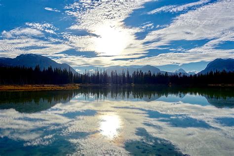 Pine Forest Reflected On Body Of Water During Sunny Day Hd Wallpaper
