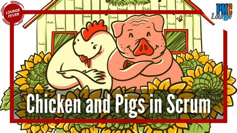 What Are The Chicken And Pigs In Scrum Involvement Vs Commitment