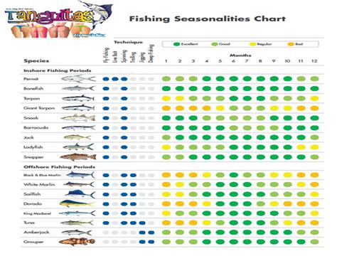 Cancun Fishing Calendar Customize And Print
