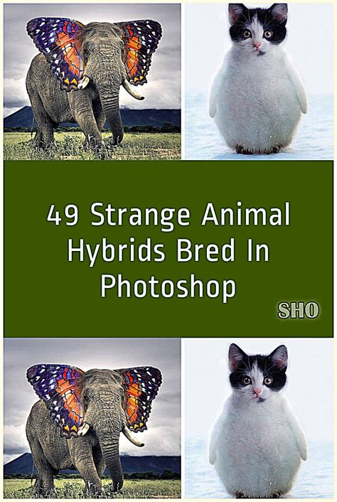 49 Strange Animal Hybrids Bred In Photoshop Artofit