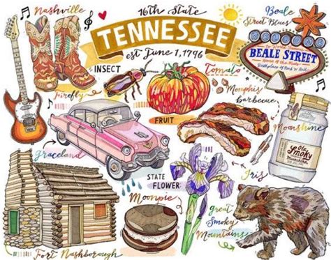 Pin By Cheryl D On Tennessee State Symbols Tennessee Illustrated Map