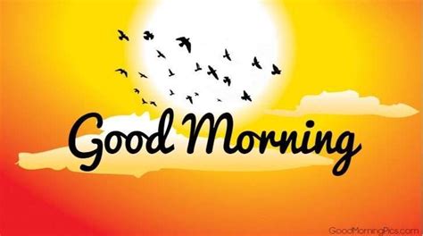Goodmorning Images Sms Wallpaper With Sun