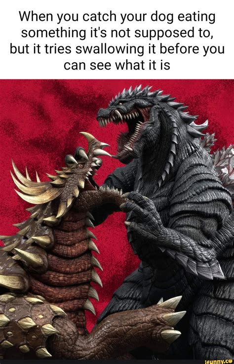 Godzillamemes Memes Best Collection Of Funny Godzillamemes Pictures On