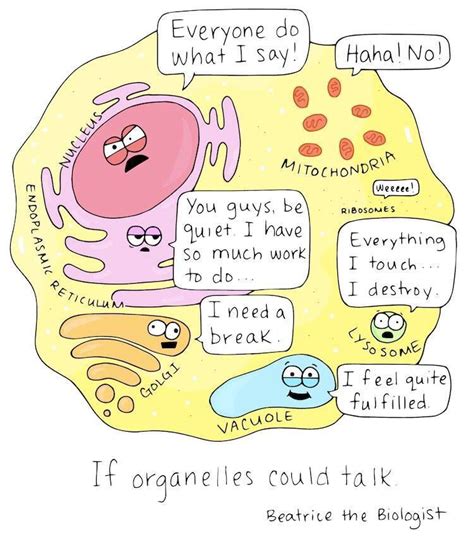 Science Cells Cartoon Funny Biology Classroom Biology Jokes Science