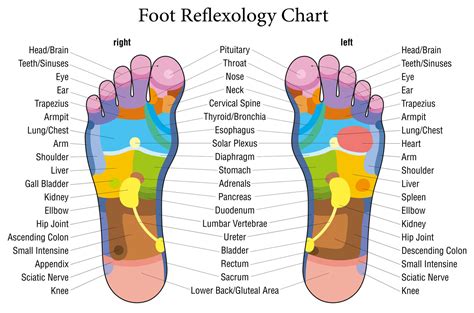 Foot Pressure Points 15 Reflexology Pressure Points To Boost Your Health