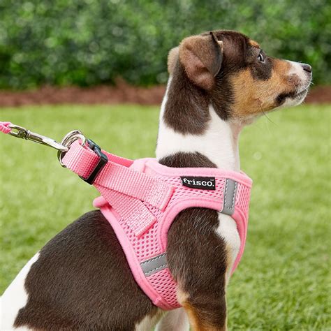 Frisco Small Breed Soft Vest Dog Harness Pink 11 13 In