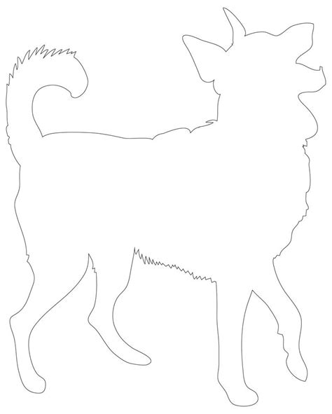 Border Collie Outline Drawing In Black And White