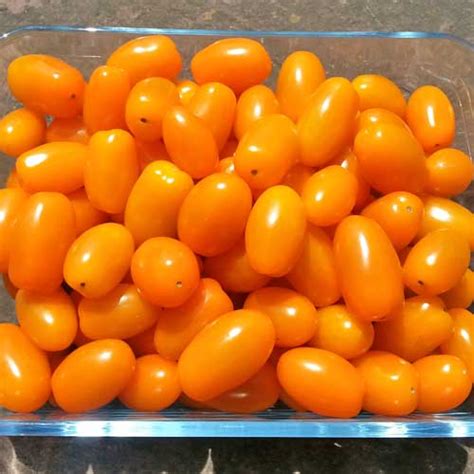 San Marzano Mini Orange Tomaten Samen Bestellen Chili Shop24de