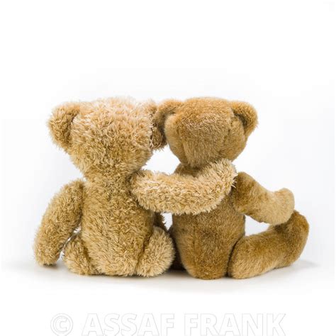 Assaf Frank Photography Licensing Two Teddy Bears Hugging Back View