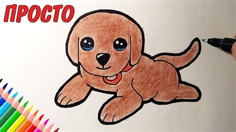 Как нарисовать милого щенка поэтапно для детей лучшие видеоуроки в категории Уроки рисования