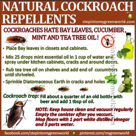 One important thing to keep in mind is to keep trying different remedies and methods until you find one that works. Natural Cockroach Repellents | Cockroach repellent, Pest ...