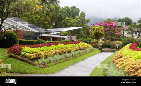 Path To The Orchid House At Peradeniya Botanic Gardens Kandy Sri