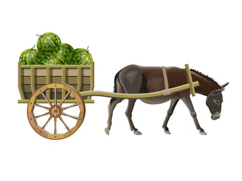 10 Mule Pulling Cart Stock Illustrations Royalty Free Vector Graphics