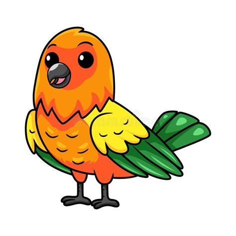 Cute Sun Conure Parrot Cartoon Stock Illustration Illustration Of