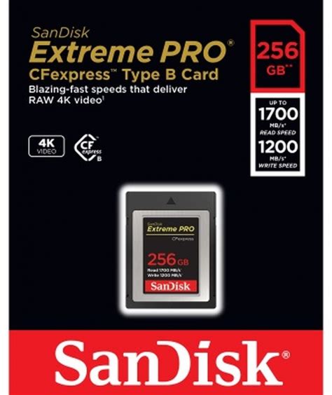 Sandisk Extreme Pro Cfexpress Card 256gb Cfexpress Karten Fotogena