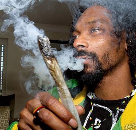 Snoop Dogg Invests 10 Million In British Weed Company Metro News