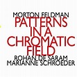 Morton Feldman: Patterns In A Chromatic Field - Walmart.com