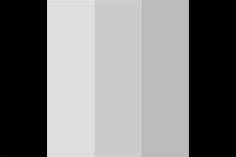 Negro Color Palette