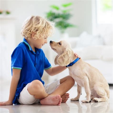 The Benefits Of Kids And Dogs Growing Together Famous Parenting