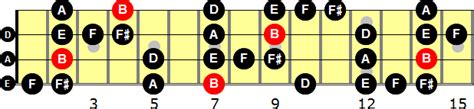 B Blues Scale For Bass Guitar